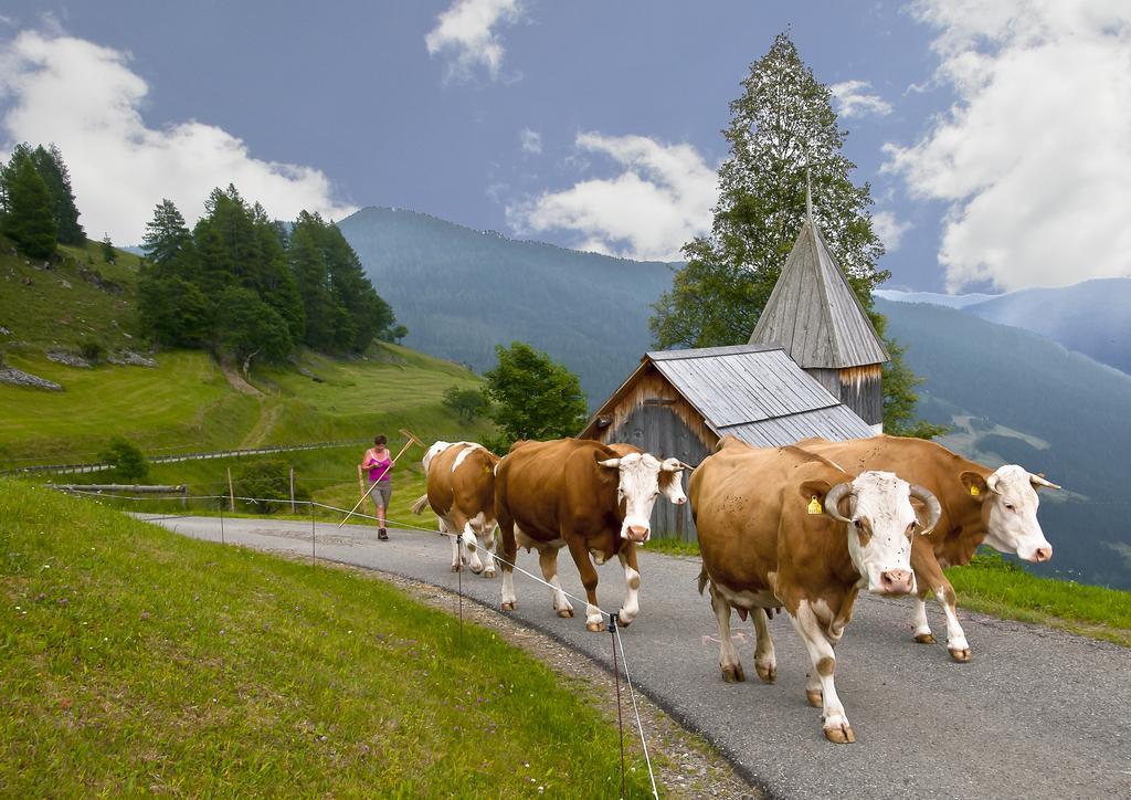 Schrunerhof Ebene Reichenau Номер фото