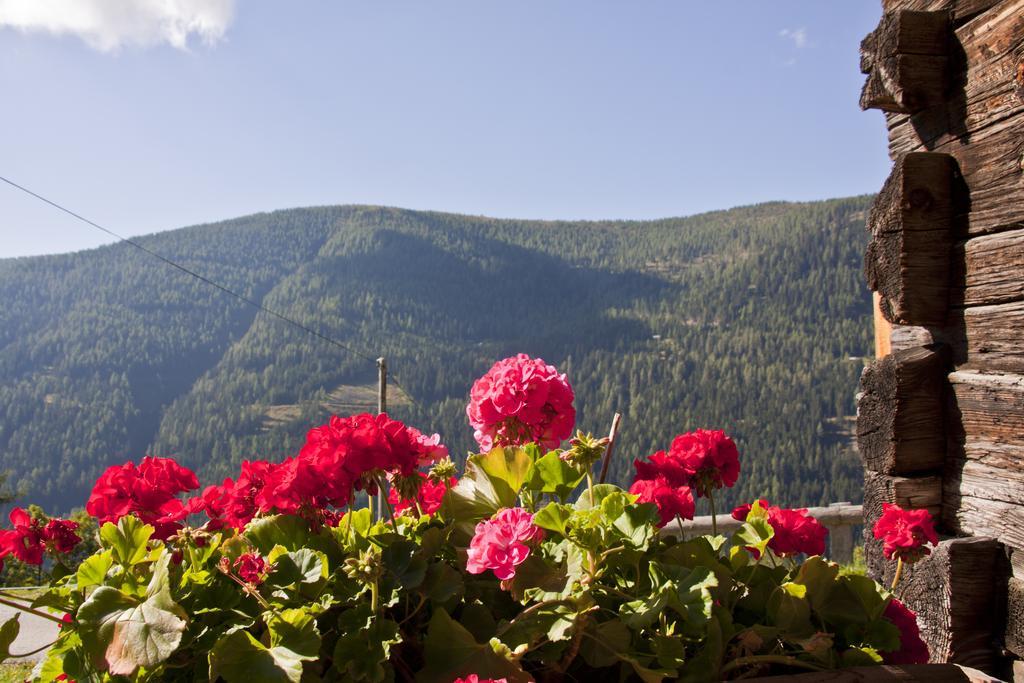 Schrunerhof Ebene Reichenau Номер фото