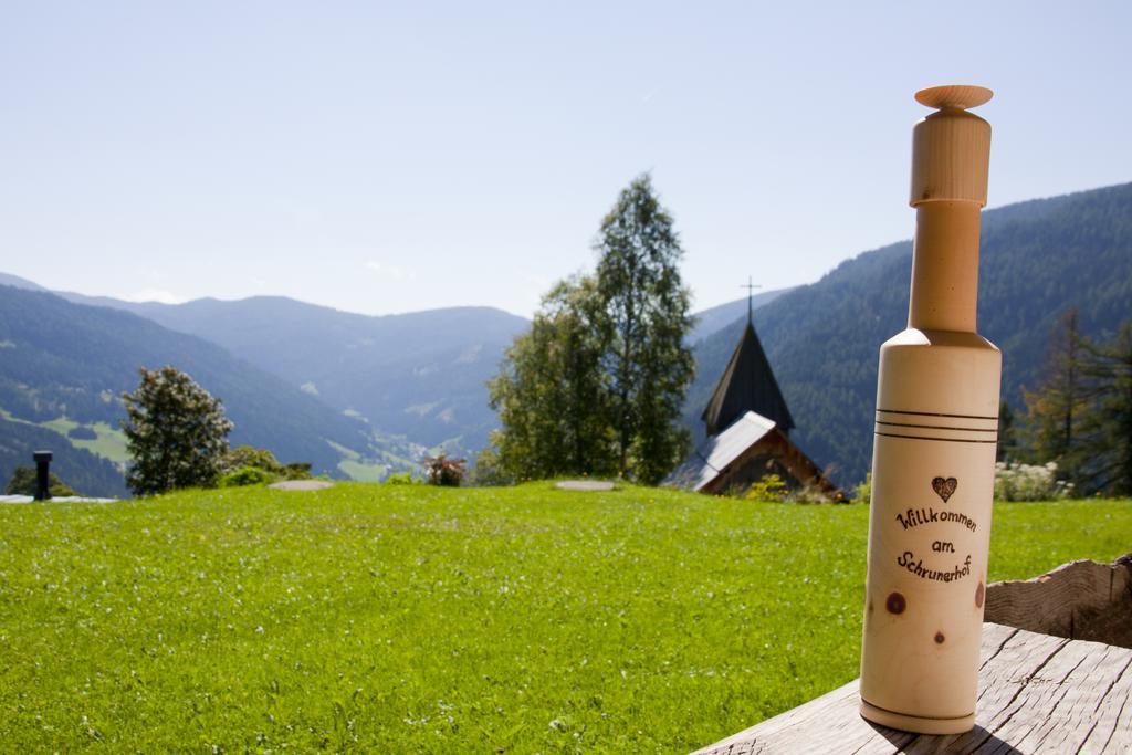 Schrunerhof Ebene Reichenau Номер фото