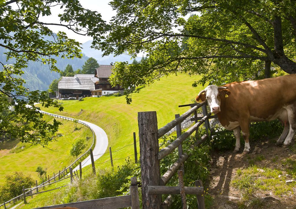 Schrunerhof Ebene Reichenau Экстерьер фото