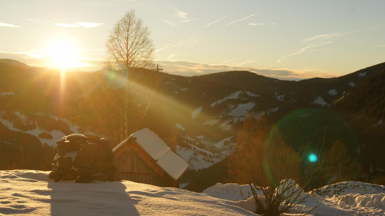Schrunerhof Ebene Reichenau Экстерьер фото